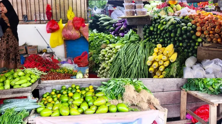 Kemendagri Dorong Koperasi Merah Putih Kubar Suplai Bahan Pangan MBG